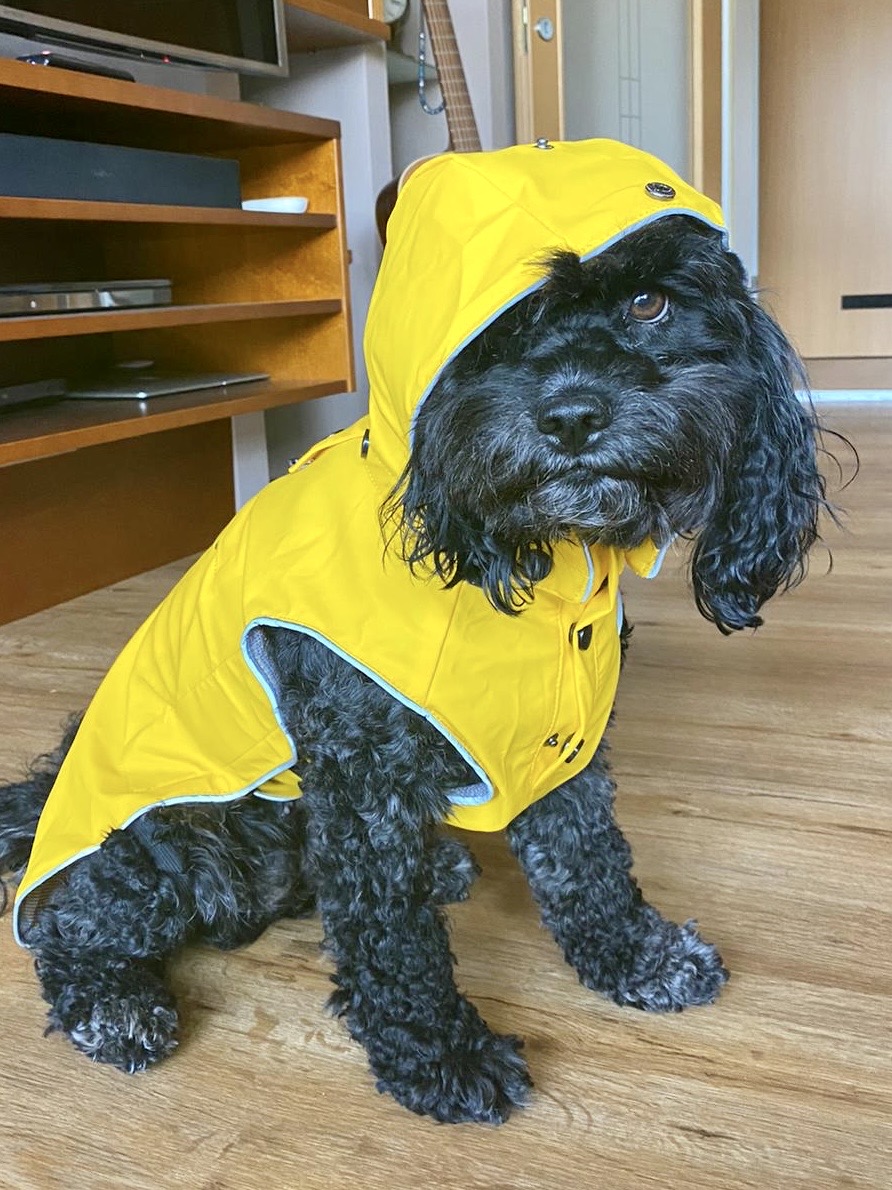 1a7caacc-666b-45a3-a231-ddc350f72eff