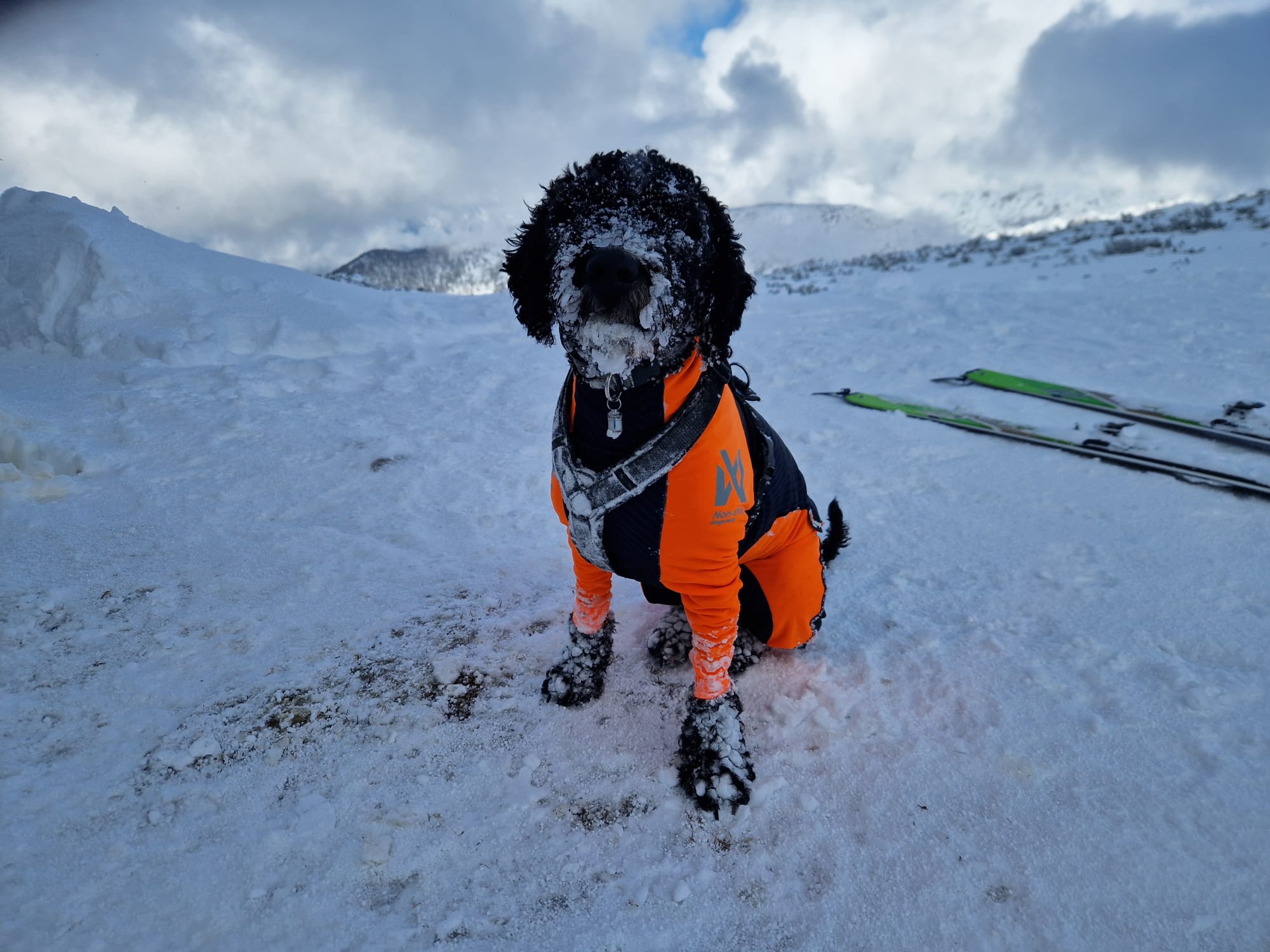 1f6de3fa-ff28-4126-b91f-21a904d74d21