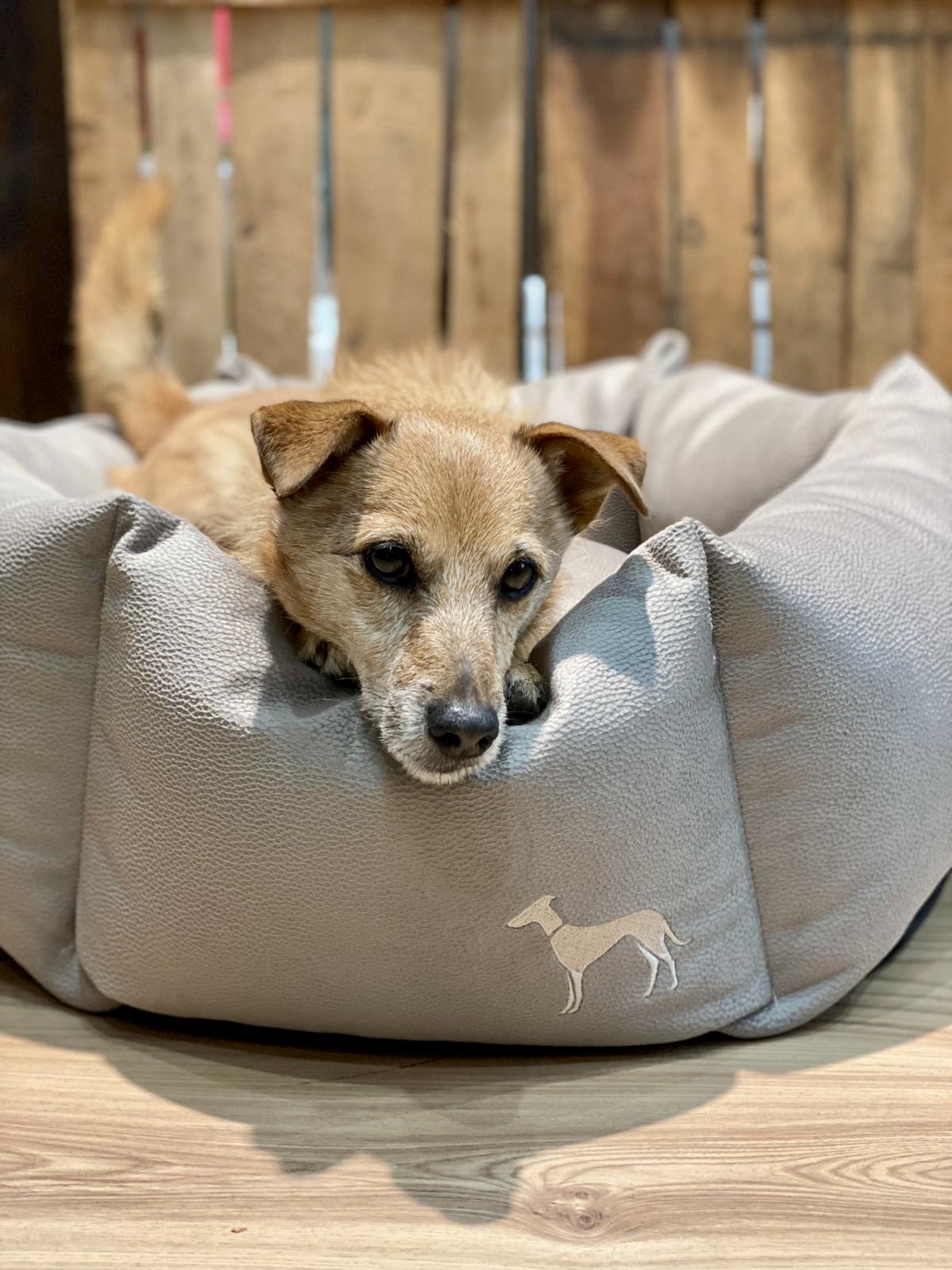 95089a3e-6465-48d7-8567-311ef6940450