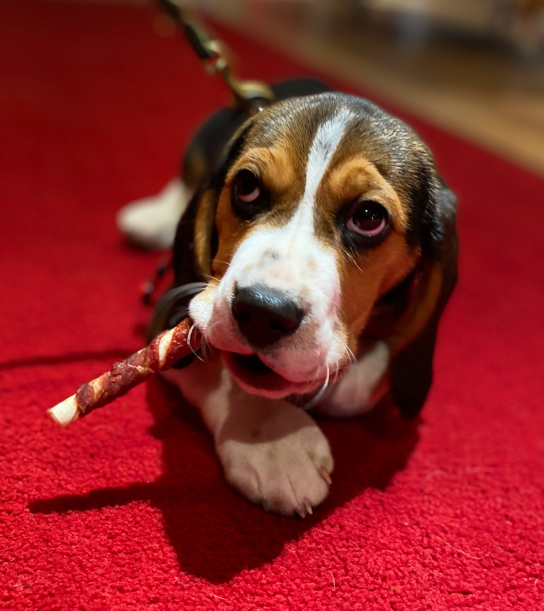 C4DA0340-46A1-4188-A251-6DDC1700E29A